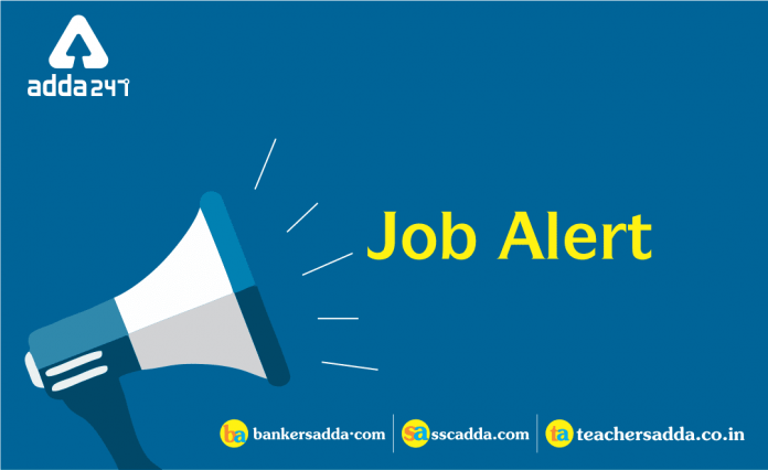 Job Alert