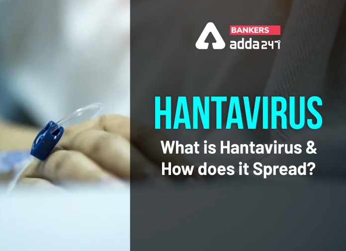 Hantavirus - What is Hantavirus and How does it spread-Blog