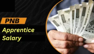 PNB Apprentice salary