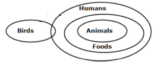 Syllogism Questions for SBI PO Exam_39.1