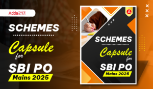 Schemes Capsule for SBI PO Mains