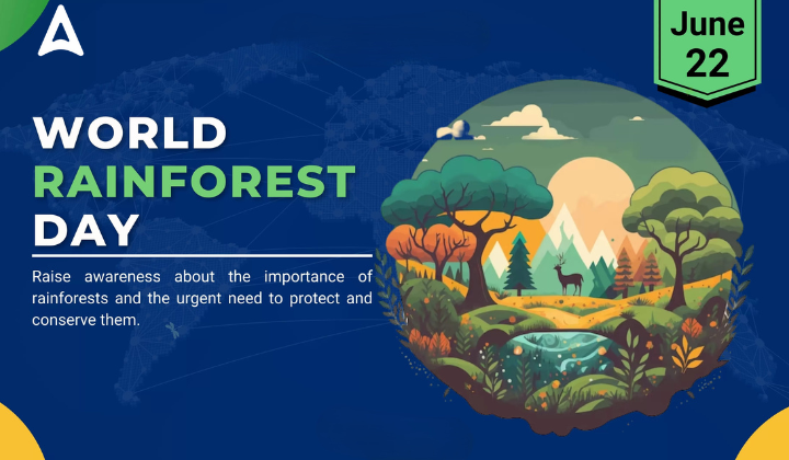 World Rainforest Day 2025