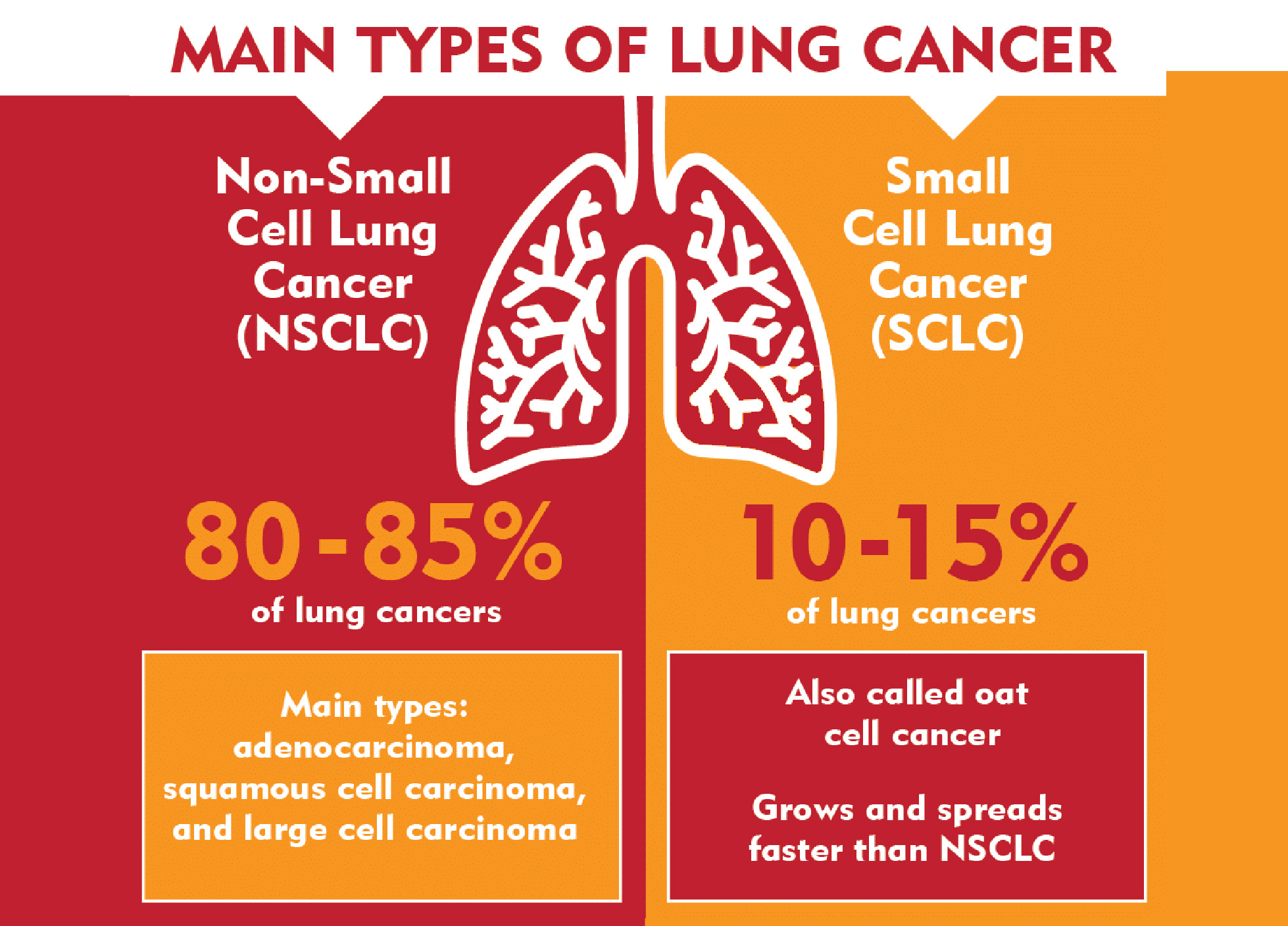 World Lung Cancer Day 2025_5.1