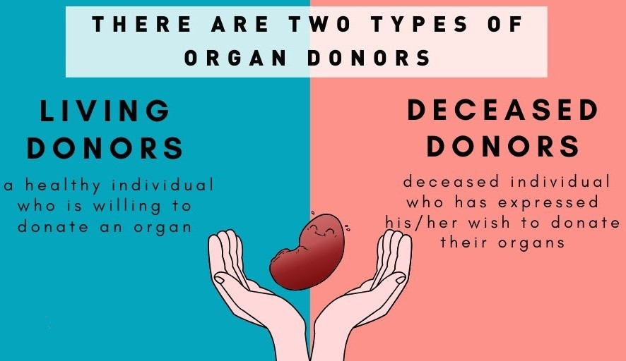 World Organ Donation Day 2025_7.1