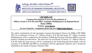 IBPS RRB Vacancy 2025 Increased