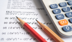IB SA Answer Key 2025