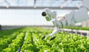 SMART-CROP Initiative Promotes