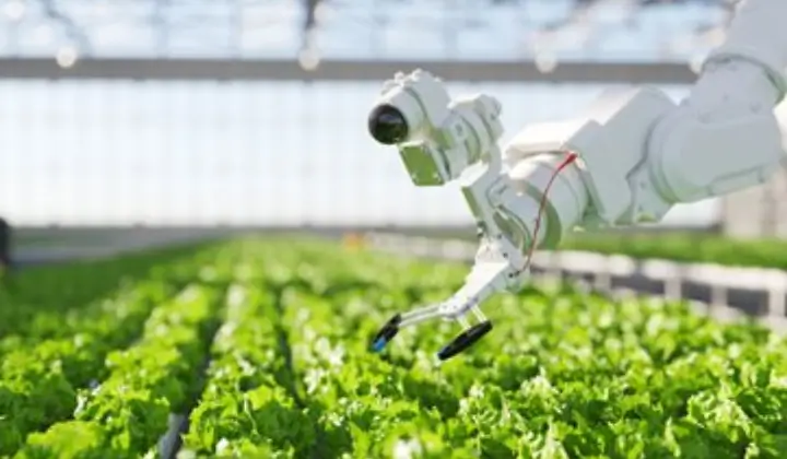 SMART-CROP Initiative Promotes