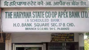 Haryana State Cooperative Apex Bank Apprentice Recruitment 2025 Notification Out