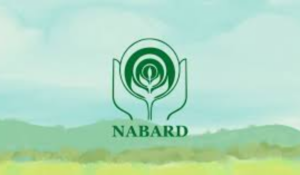 NABARD Grade A Admit Card 2025 Out, Download Prelims Call Letter