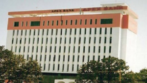 MP Apex Bank Salary 2026