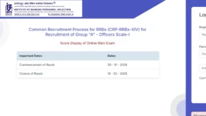 IBPS RRB PO Mains Score Card 2025 Out at ibps.in, Check Officer Scale 1 Scores & Marks
